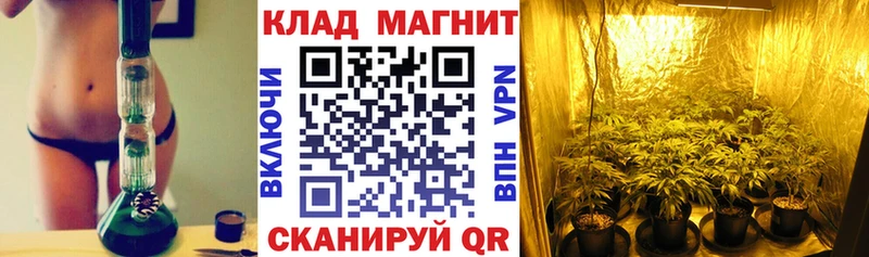 Купить наркотики цена Гусиноозёрск Марихуана  COCAIN  Гашиш 