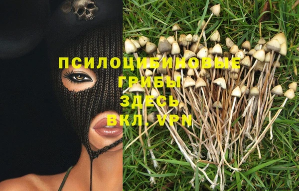 меф Абдулино