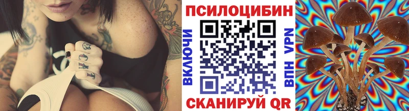 Псилоцибиновые грибы Cubensis  что такое наркотик  Гусиноозёрск 